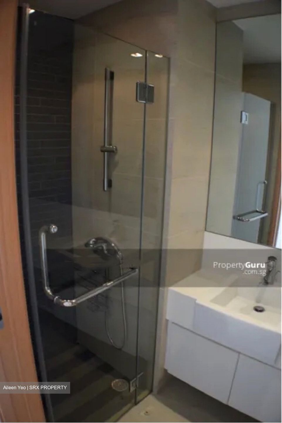 Park Infinia At Wee Nam (D11), Condominium #361548751